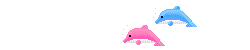 dolphin6